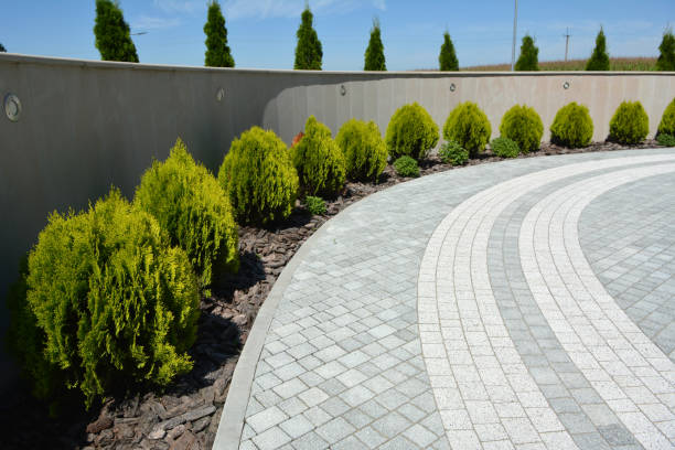 Best Driveway Repair Near Me  in Cameron, MO